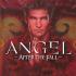 ANGEL AFTER THE FALL Comics ANGEL AFTER THE FALL Comics