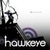 HAWKEYE / HAWKGIRL Graphic Novels HAWKEYE / HAWKGIRL Graphic Novels