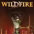 Wildfire Comics