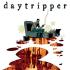 DAYTRIPPER Graphic Novels
