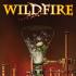 Wildfire Comics