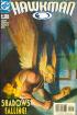 Hawkman & Hawkgirl Comics