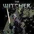 THE WITCHER Graphic Novels