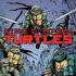 TEENAGE MUTANT NINJA TURTLES (2011) Graphic Novels