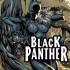 BLACK PANTHER (2008) Comics