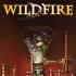 WILD CARDS AND WILDFIRE Graphic Novels