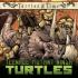 TEENAGE MUTANT NINJA TURTLES TURTLES IN TIME Comics