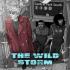 WILD STORM Graphic Novels