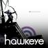 HAWKEYE / HAWKGIRL Graphic Novels