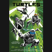 TEENAGE MUTANT NINJA TURTLES VOLUME 1 RETURN TO NEW YORK GRAPHIC NOVEL