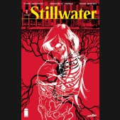 STILLWATER BY ZDARSKY AND PEREZ #1