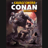 SAVAGE SWORD OF CONAN REFORGED VOLUME 1 GRAPHIC NOVEL BORIS VALLEJO DM VARIANT COVER