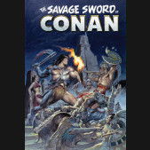 SAVAGE SWORD OF CONAN THE ORIGINAL COMICS OMNIBUS VOLUME 12 EARL NOREM DM VARIANT COVER