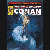 SAVAGE SWORD OF CONAN THE ORIGINAL COMICS OMNIBUS VOLUME 5 HARDCOVER JOE CHIODO DM VARIANT COVER
