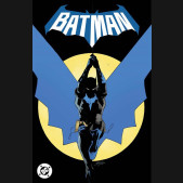 BATMAN VOLUME 1 DAYLIGHT GRAPHIC NOVEL