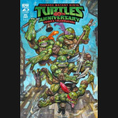 TEENAGE MUTANT NINJA TURTLES  40TH ANNIVERSARY CELEBRATION #1 BISLEY COVER