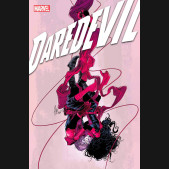 DAREDEVIL #12 (2022 SERIES)