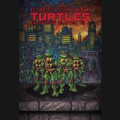 TEENAGE MUTANT NINJA TURTLES  ULTIMATE COLLECTION VOLUME 3 GRAPHIC NOVEL