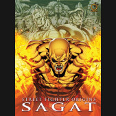 STREET FIGHTER ORIGINS SAGAT HARDCOVER