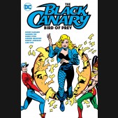 BLACK CANARY BIRD OF PREY GRAPHIC NOVEL