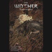 WITCHER VOLUME 5 FADING MEMORIES GRAPHIC NOVEL