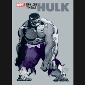 JEPH LOEB AND TIM SALE HULK GRAPHIC NOVEL