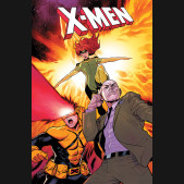 X-MEN FROM THE ASHES GRAPHIC NOVEL