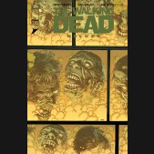WALKING DEAD DELUXE #29 COVER A FINCH & MCCAIG