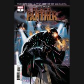 BLACK PANTHER #2 (2018 SERIES)