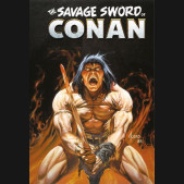 SAVAGE SWORD OF CONAN THE ORIGINAL COMICS OMNIBUS VOLUME 12 JOE JUSKO COVER