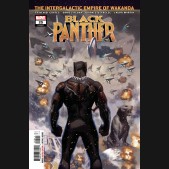 BLACK PANTHER #25 (2018 SERIES)