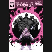TEENAGE MUTANT NINJA TURTLES REBORN VOLUME 3 TIME AFTER TIME GRAPHIC NOVEL