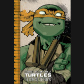 TEENAGE MUTANT NINJA TURTLES THE IDW COLLECTION VOLUME 7 GRAPHIC NOVEL