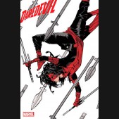 DAREDEVIL WOMAN WITHOUT FEAR #2