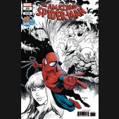 AMAZING SPIDER-MAN #25 (2018 SERIES) SDCC 2019 ARTIST VARIANT
