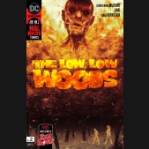 LOW LOW WOODS #2 