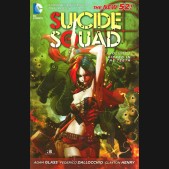SUICIDE SQUAD VOLUME 1 KICKED IN THE TEETH GRAPHIC NOVEL