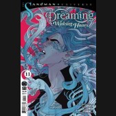 DREAMING WAKING HOURS #11