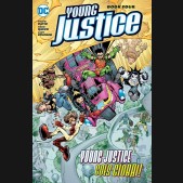 YOUNG JUSTICE BOOK 4 GRAPHIC NOVEL