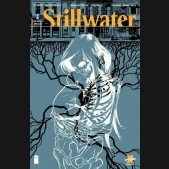 STILLWATER BY ZDARSKY AND PEREZ #1 2ND PRINTING