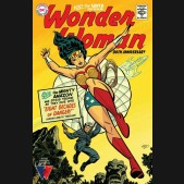WONDER WOMAN 80TH ANNIVERSARY 100-PAGE SUPER SPECTACULAR #1 COVER G MICHAEL CHO SILVER AGE