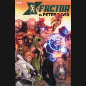 X-FACTOR BY PETER DAVID OMNIBUS VOLUME 3 HARDCOVER NICK BRADSHAW DM VARIANT COVER