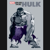 JEPH LOEB AND TIM SALE HULK GALLERY EDITION HARDCOVER