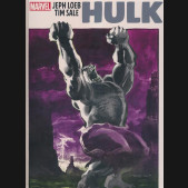 JEPH LOEB AND TIM SALE HULK GALLERY EDITION HARDCOVER DM VARIANT COVER