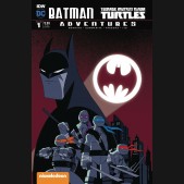 BATMAN TEENAGE MUTANT NINJA TURTLES ADVENTURES #1 SUBSCRIPTION COVER B