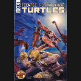 TEENAGE MUTANT NINJA TURTLES ONGOING #136 (2011 SERIES)