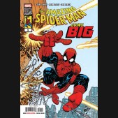 AMAZING SPIDER-MAN GOING BIG #1