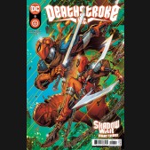 DEATHSTROKE INC #8