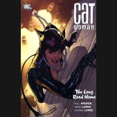 CATWOMAN THE LONG ROAD HOME GRAPHIC NOVEL