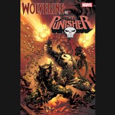 WOLVERINE VS PUNISHER GRAPHIC NOVEL